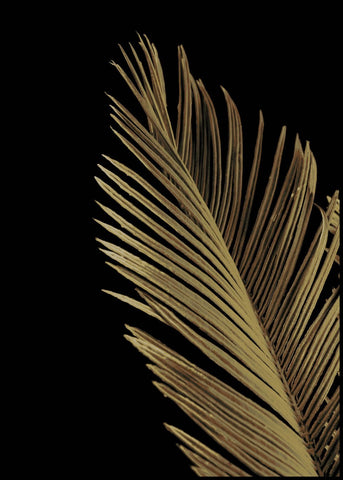 Golden palm 1 | FRAMED PRINT