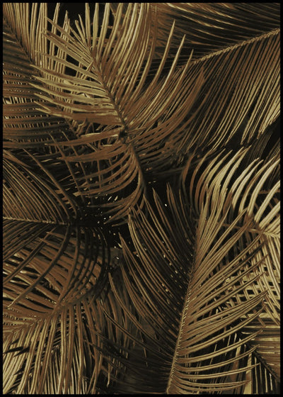 Golden palm 2 | FRAMED PRINT