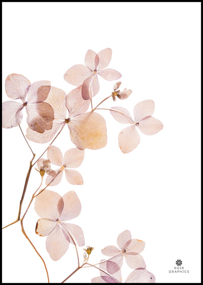 Grace 3 | FRAMED PRINT