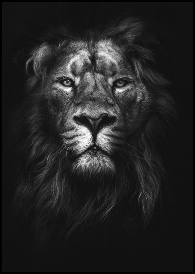 King of kings | FRAMED PRINT