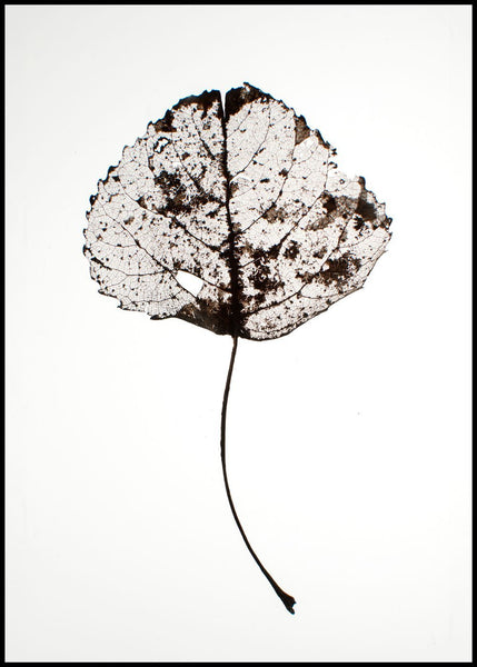Leaf rustic | FRAMED PRINT