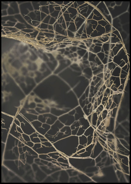 Leaf skeleton dark | FRAMED PRINT