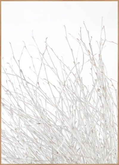 Light and white | FRAMED PRINT