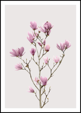 Magnolia 2 | FRAMED PRINT
