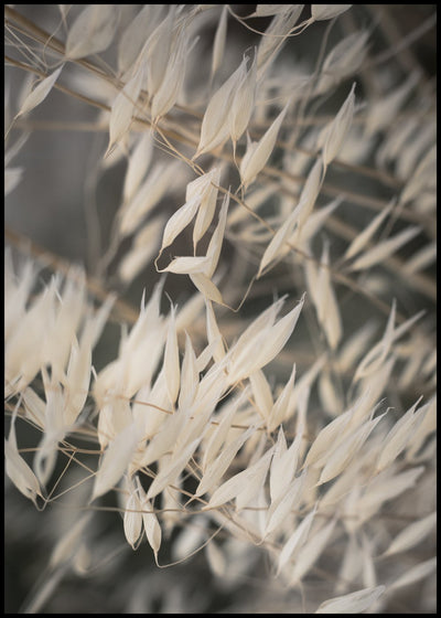 Mellow Grasses 4 | FRAMED PRINT