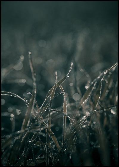 Mellow Grasses 5 | FRAMED PRINT