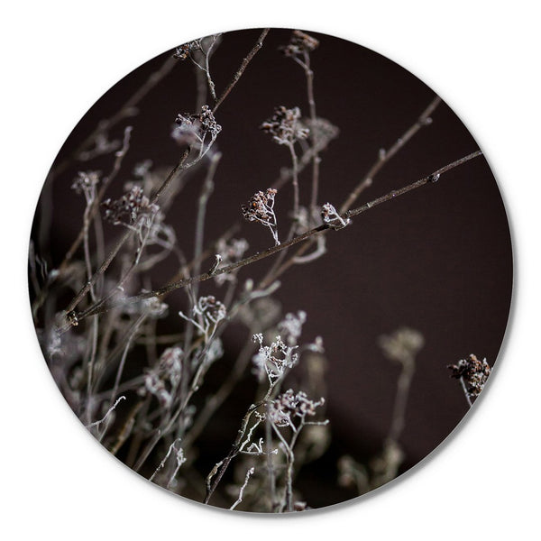 Mellow Grasses 6 | CIRCLE ART