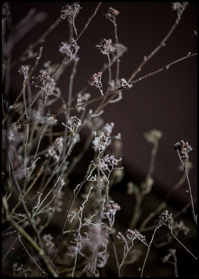 Mellow Grasses 6 | FRAMED PRINT