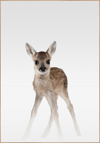 Misty Deer | FRAMED PRINT