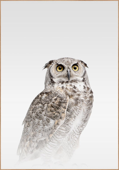 Misty Owl | FRAMED PRINT
