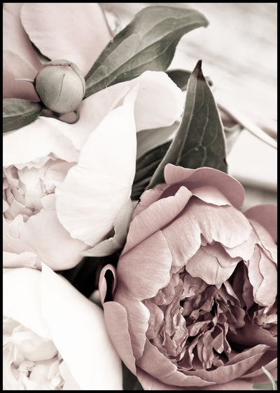 Opulent 1 | FRAMED PRINT