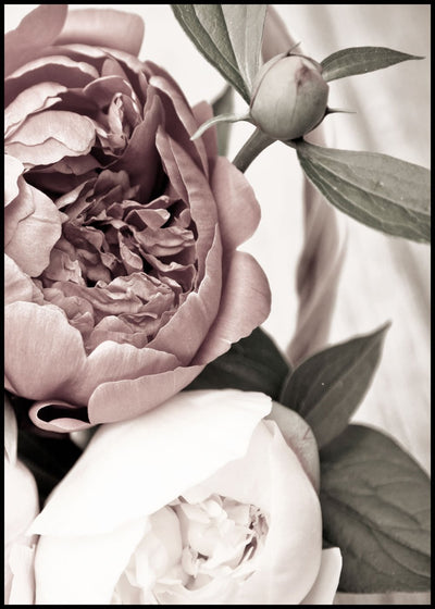 Opulent 2 | FRAMED PRINT