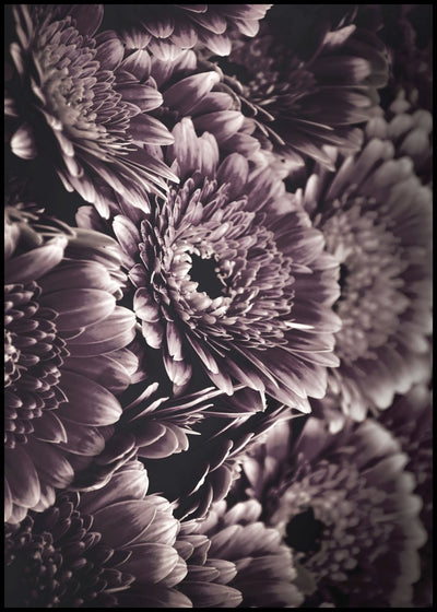 Opulent 4 | FRAMED PRINT