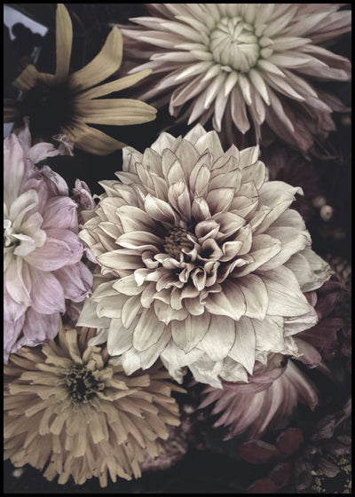 Opulent 5 | FRAMED PRINT