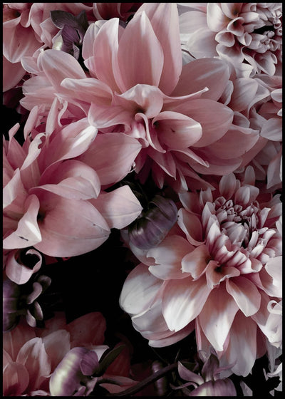 Opulent 9 | FRAMED PRINT