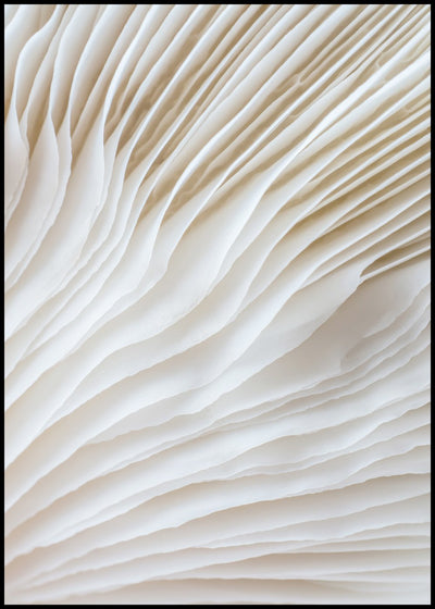 Organic Lines 2 | FRAMED PRINT