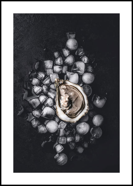 Oyster Luxe 2 | FRAMED PRINT