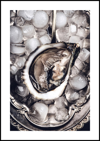 Oyster Luxe 3 | FRAMED PRINT