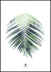 Palm leaf | FRAMED PRINT