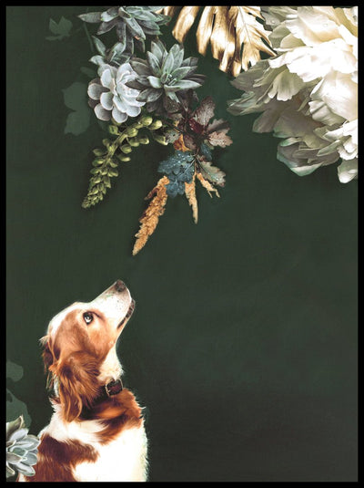Pet Couture 1 | FRAMED PRINT