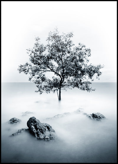 Photo DArt No 6 | FRAMED PRINT