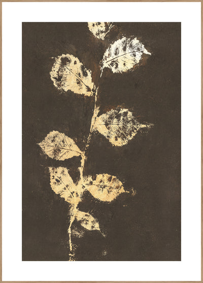 Pure Nature 4 | FRAMED PRINT