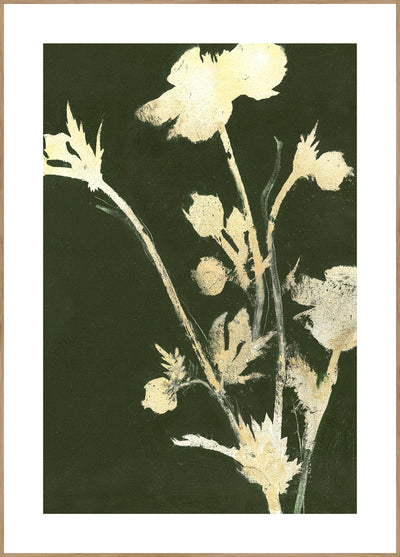 Pure Nature 6 | FRAMED PRINT