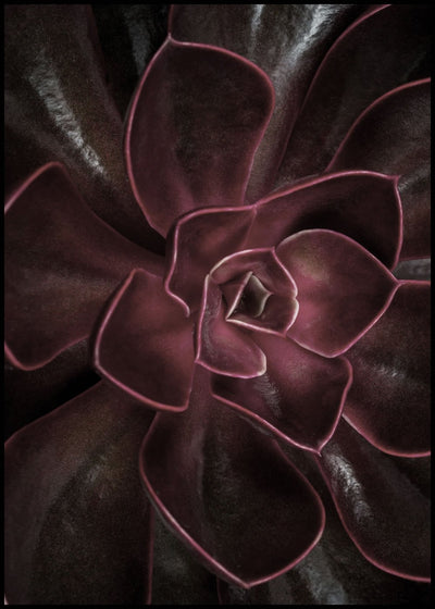 Secret 16 | FRAMED PRINT