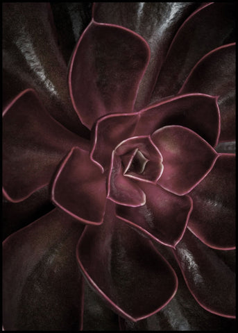 Secret 16 | FRAMED PRINT