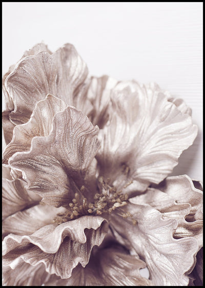 Sigma 1 | FRAMED PRINT