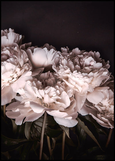 Sigma 2 | FRAMED PRINT