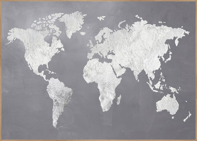 Silver World | FRAMED PRINT