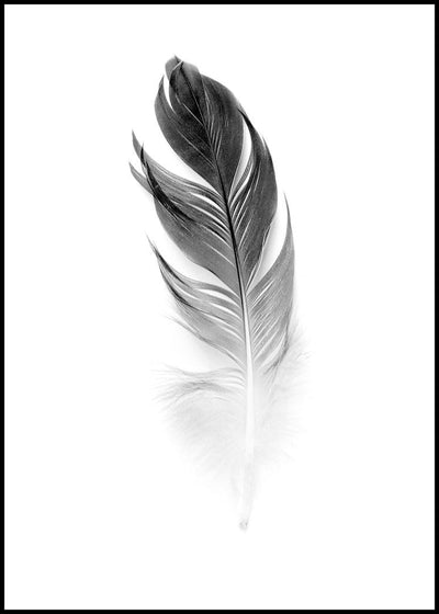 Soft Feather | FRAMED PRINT