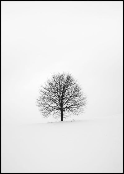 Solitary 1 | FRAMED PRINT