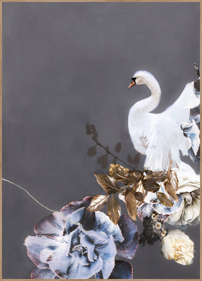 Swan Gold 1 | FRAMED PRINT