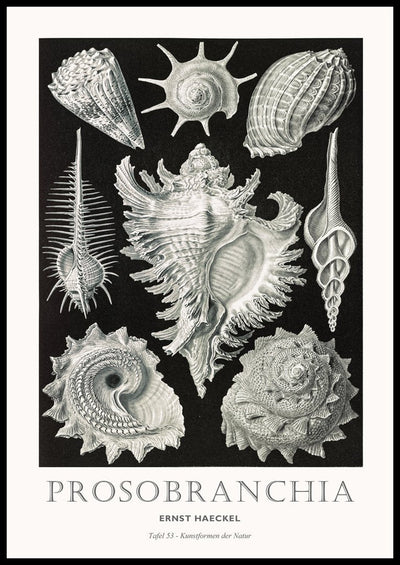 Tafel 53 | FRAMED PRINT
