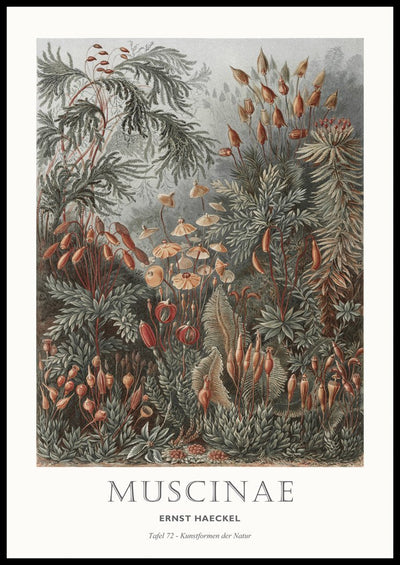 Tafel 72 | FRAMED PRINT