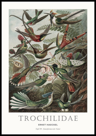 Tafel 99 | FRAMED PRINT