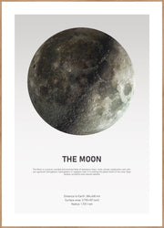 The Moon Light | FRAMED PRINT