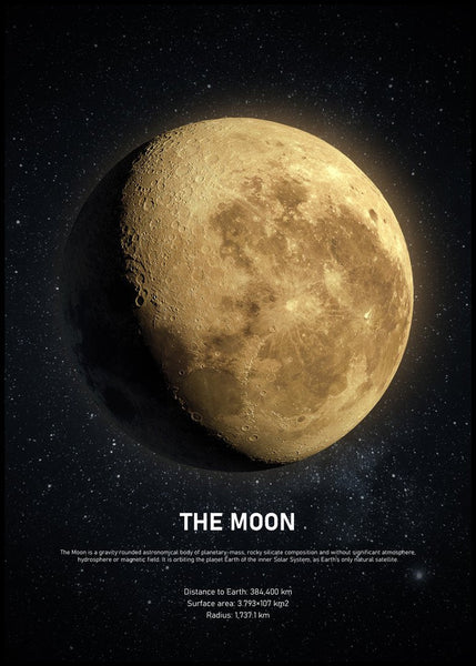 The Moon | FRAMED PRINT