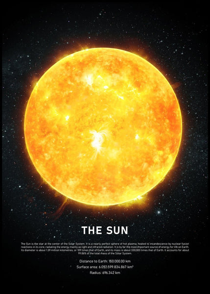 The Sun | FRAMED PRINT