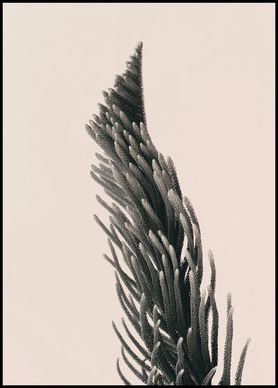 Upwards 1 | FRAMED PRINT
