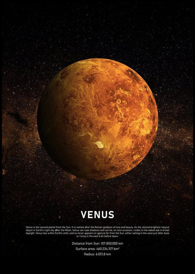 Venus | FRAMED PRINT