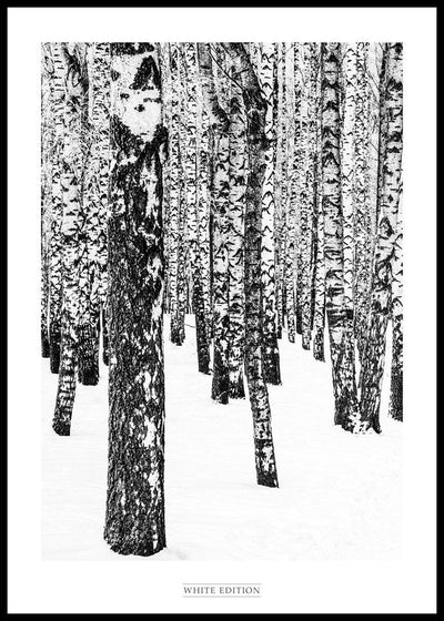 White Edition 1 | FRAMED PRINT