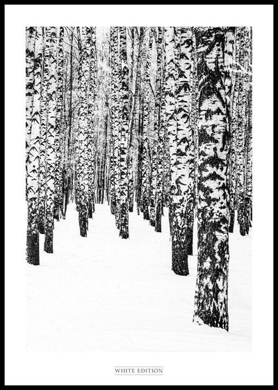 White Edition 2 | FRAMED PRINT