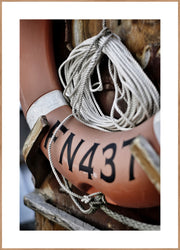 Lifebuoy | FRAMED PRINT