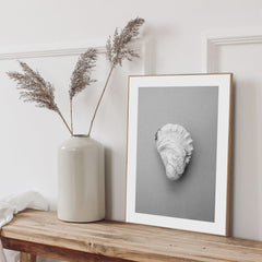 Oyster 2 | FRAMED PRINT