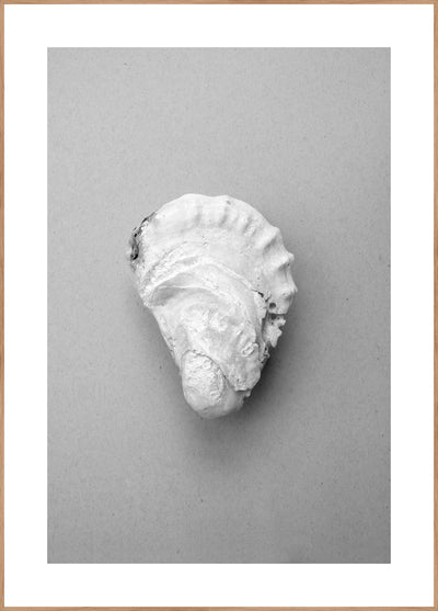 Oyster 2 | FRAMED PRINT