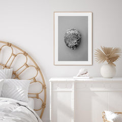 Oyster 3 | FRAMED PRINT
