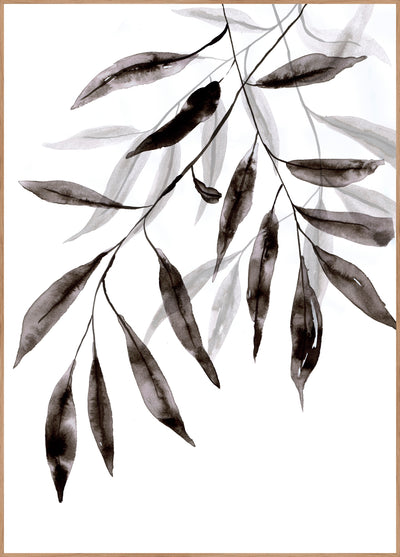 Water plants 3 | FRAMED PRINT